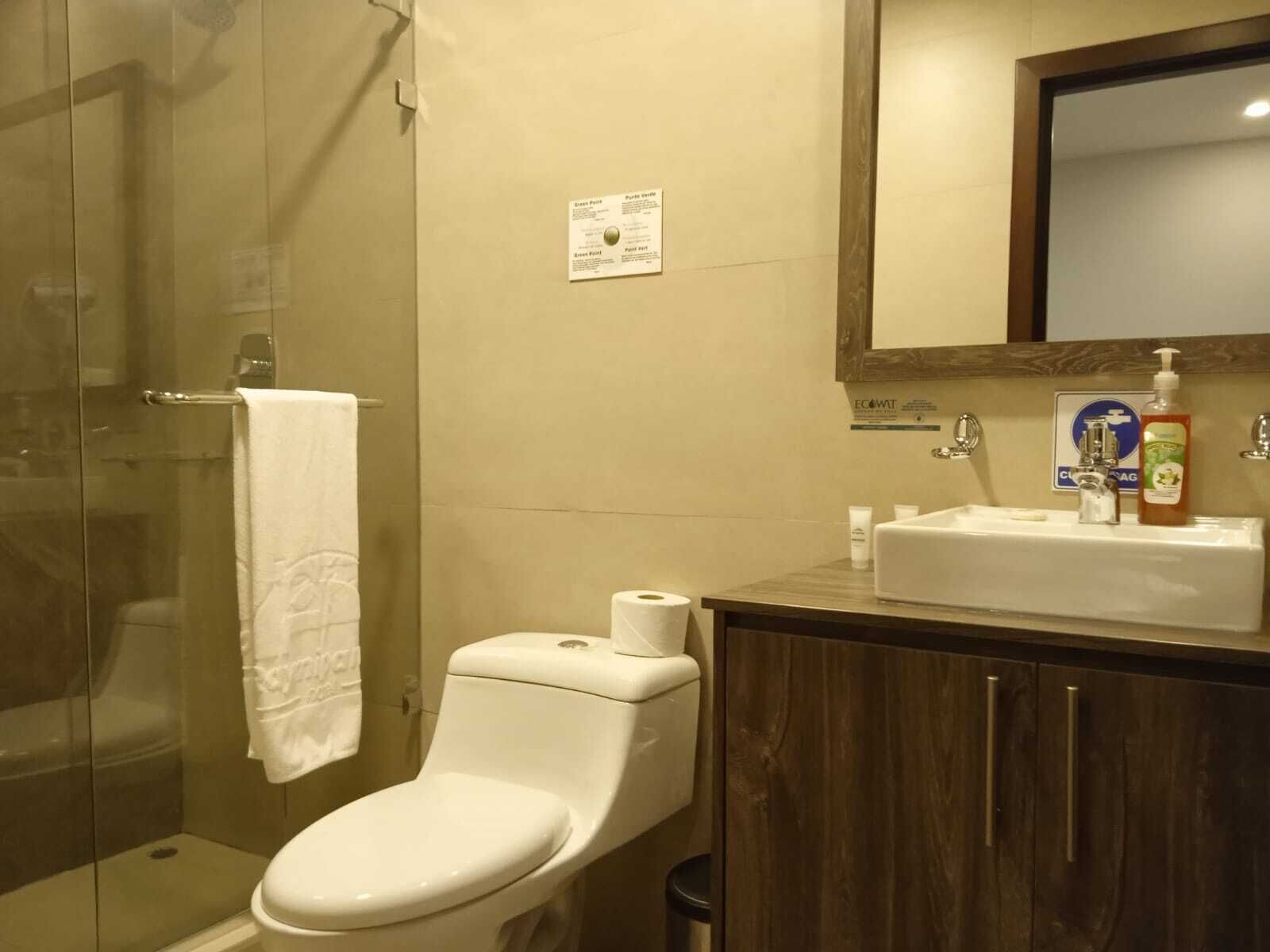 economy double room | bathroom | shower, rainfall showerhead, free toiletries, hair dryer