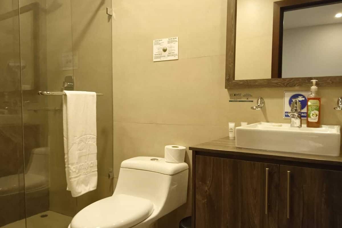 economy double room | bathroom | shower, rainfall showerhead, free toiletries, hair dryer