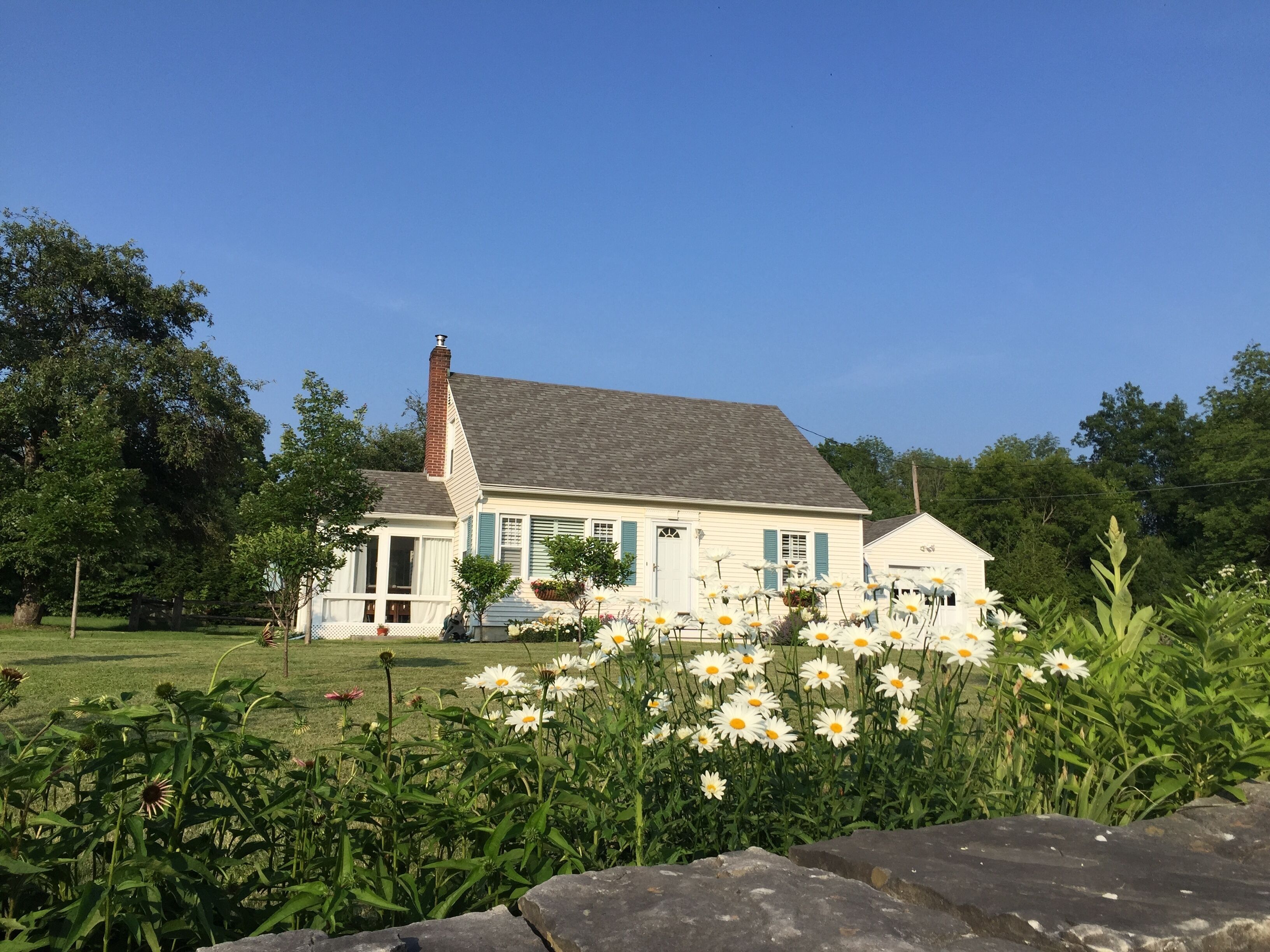 In the Heart of Everything