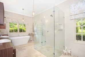 Combined shower/bathtub, hair dryer, bidet, towels