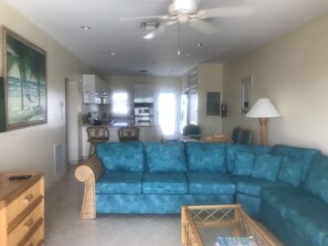TV, DVD player, video library