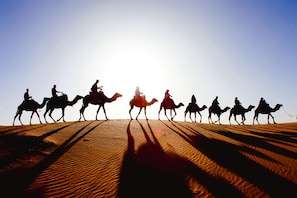 A group of camels with riders on a sandy dune under a clear sky. - Sahara Royal Camp (Taouz)