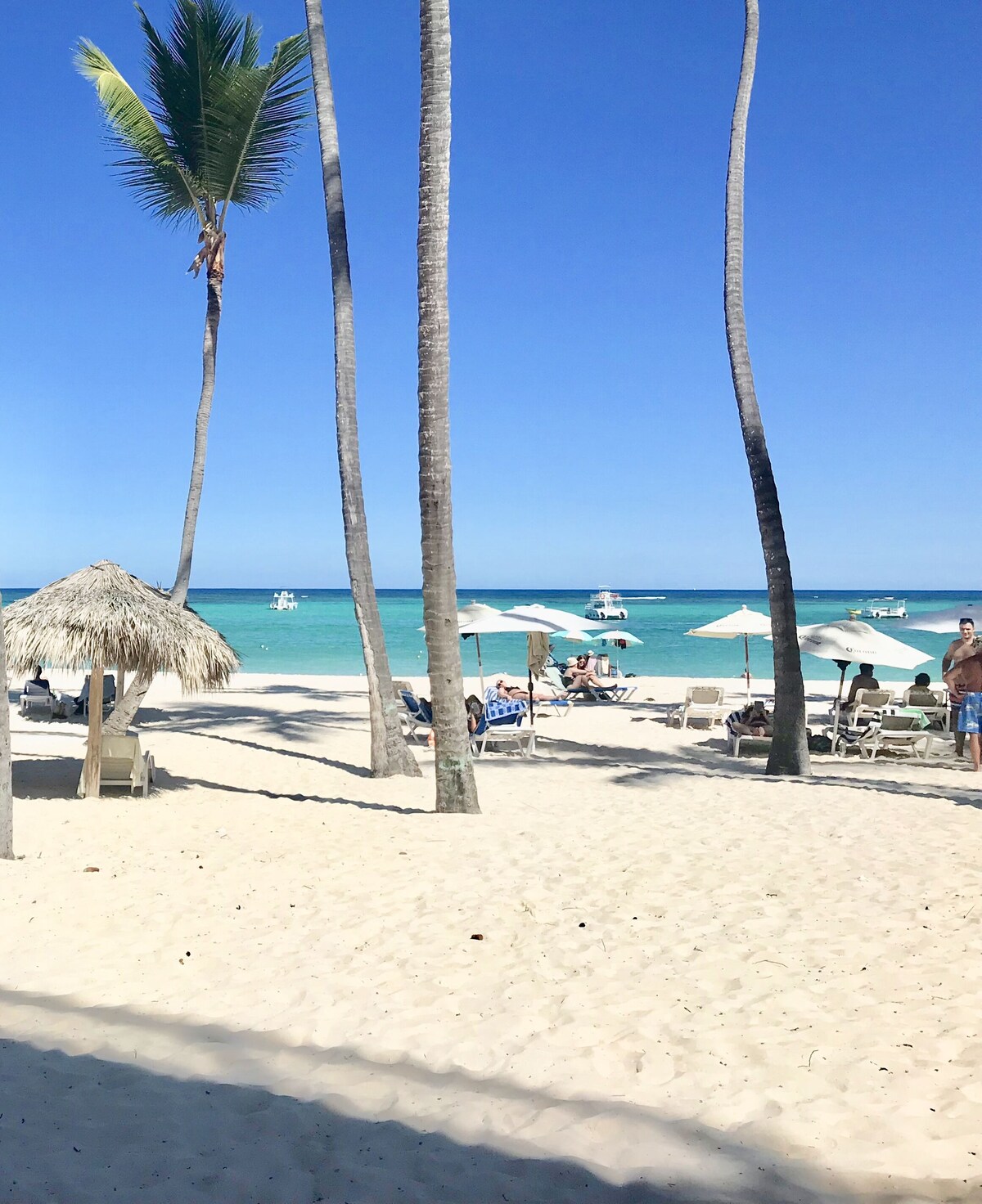 Imagem do perfil do anfitrião