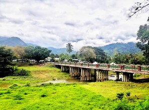Vue sur les montagnes