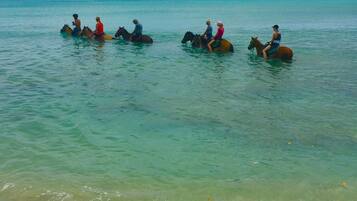 On the beach, sun-loungers, beach towels