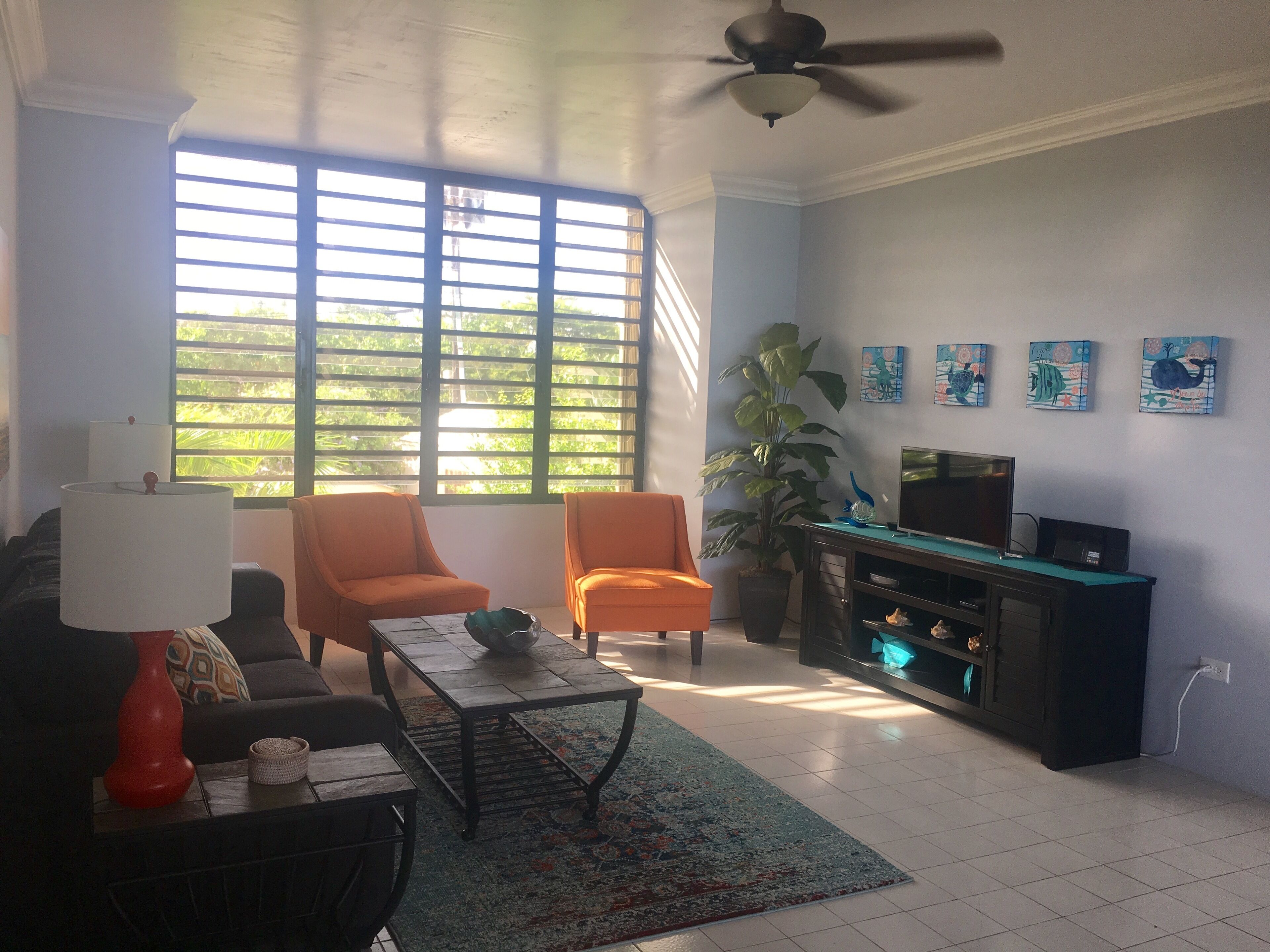 Smart TV, books, music library, stereo