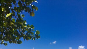 Uma praia com águas turquesa cristalinas, areal arenoso e vegetação rasteira.