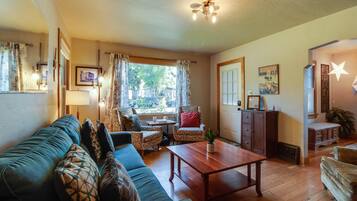 TV connectée, cheminée, lecteur de DVD, livres