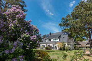 Imagen sin descripción, 2 de 62, botón