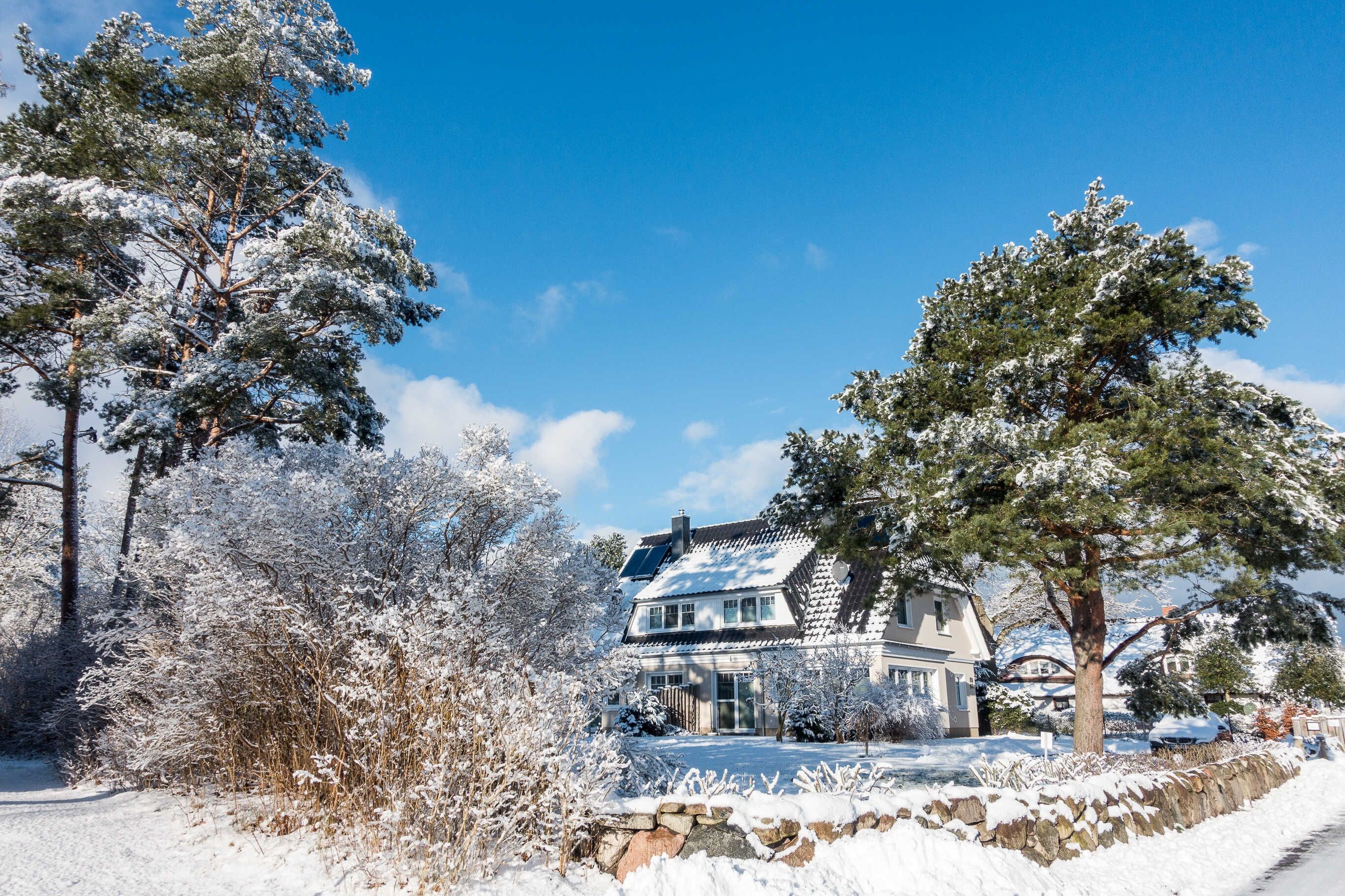A house with a stone wall, snow-covered trees, and a clear blue sky.