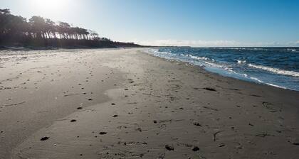 Premiumhaus Bodden, Deutschland