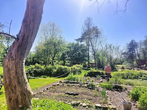 Un jardin avec différentes plantes et arbres, une clôture en bois et un seau en métal.