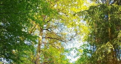 Im Ries 1+2+3 - Ferienhaus Elpe