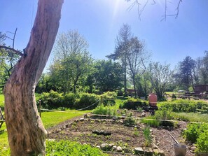 A garden with various plants and trees, a wooden fence, and a metal bucket. - Exclusive apartment 4 for 2-4 persons near Timmendorfer Strand - Ferienhof am (Ratekau)