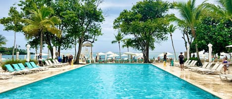 Una piscina rectangular con agua azul cristalina, rodeada de sillas de descanso y palmeras.