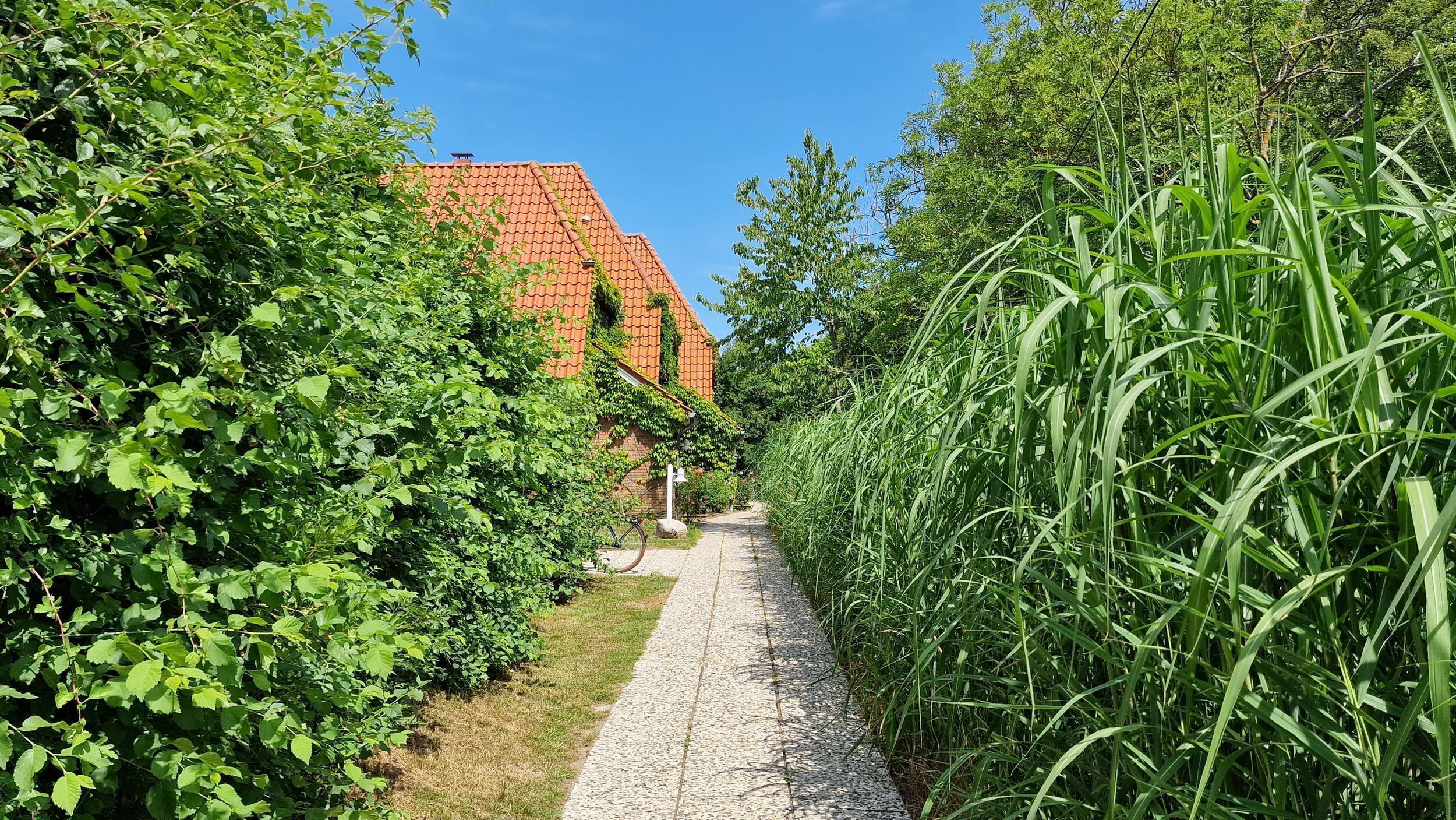 Uma trilha leva a um edifício com telhado de telhas vermelhas, cercado por vegetação exuberante e grama alta.