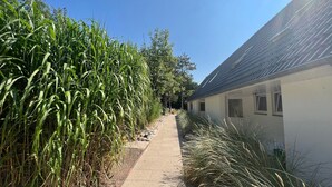 A pathway leading to a building with a sloped roof, surrounded by tall grasses and trees. - Luna16 (Room category) - Luna II (Sankt Peter-Ording)