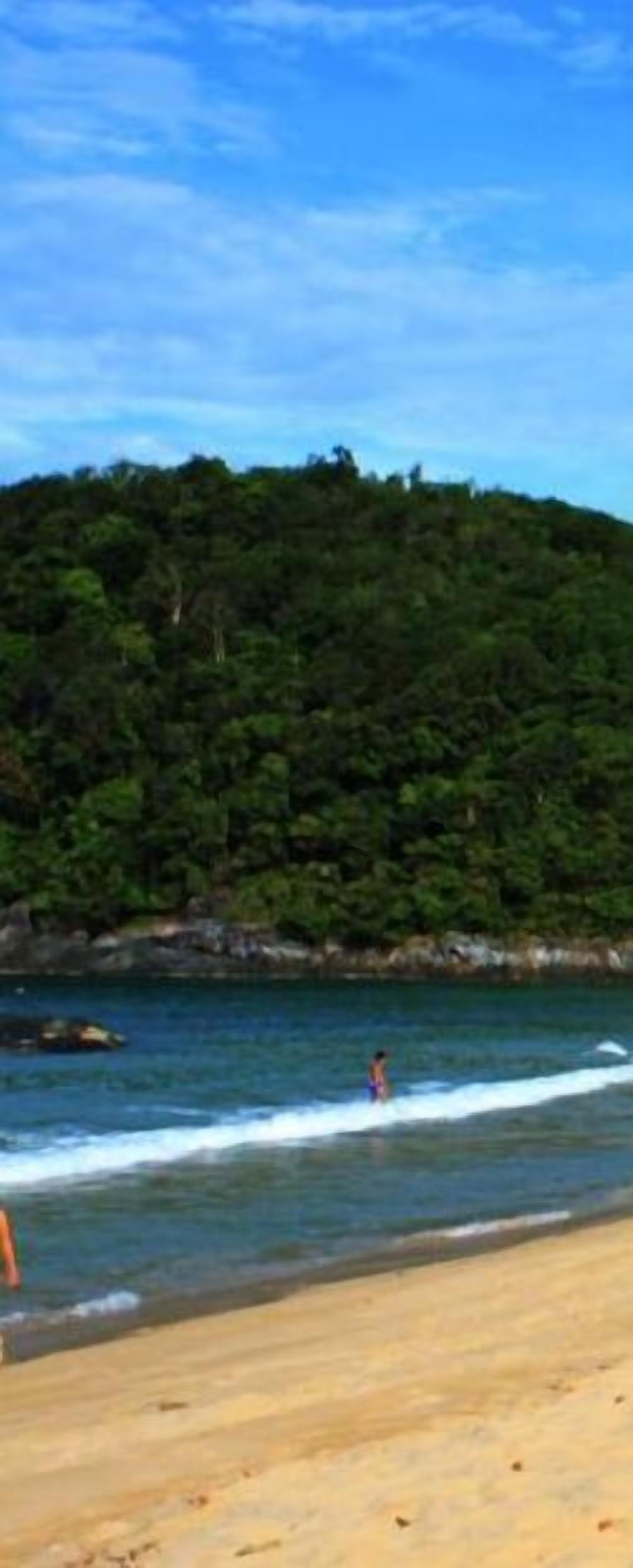 A beach with a forested hill in the background, a sandy shore, and a person in the water.