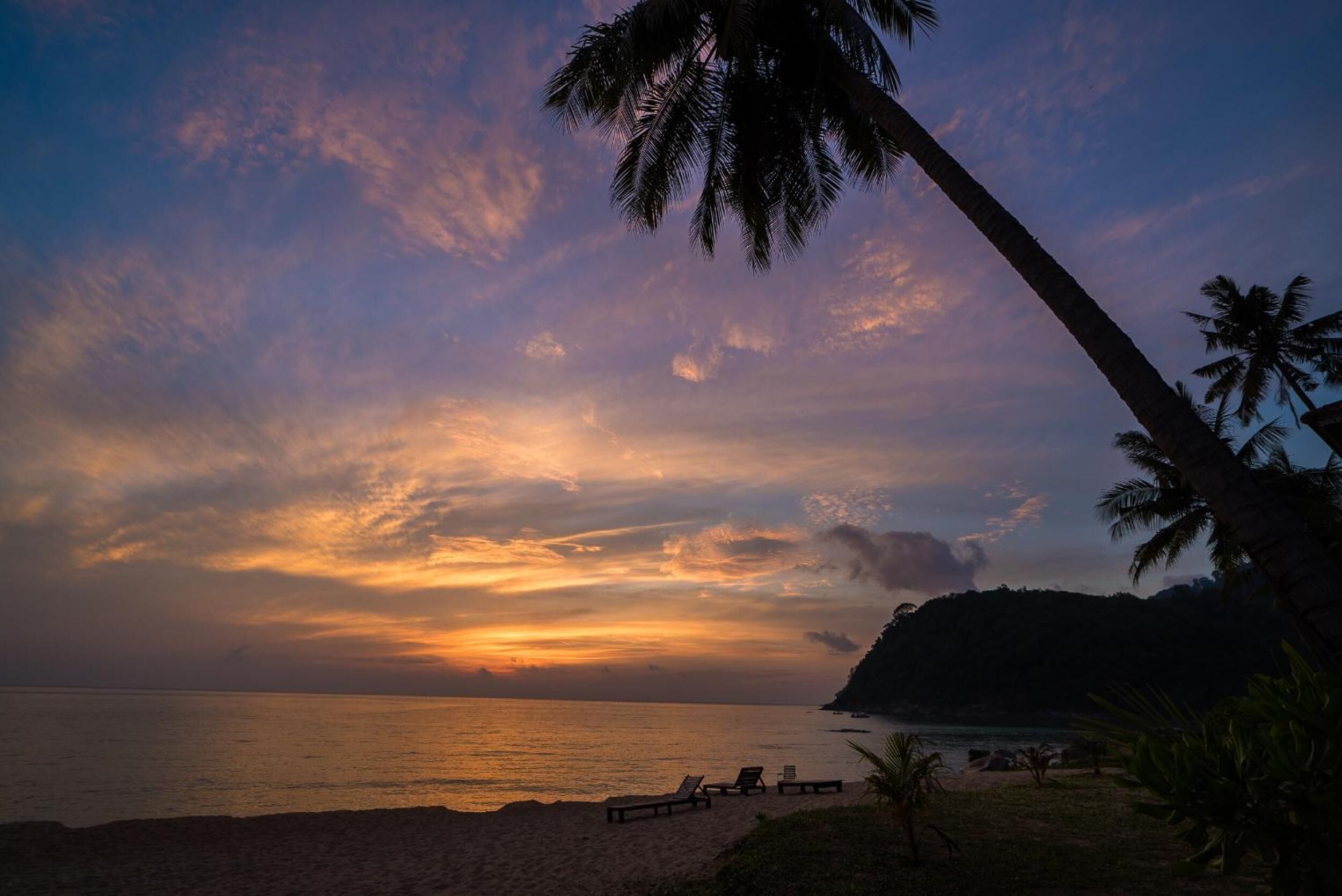A beach scene with a sunset, palm trees, and a calm sea.