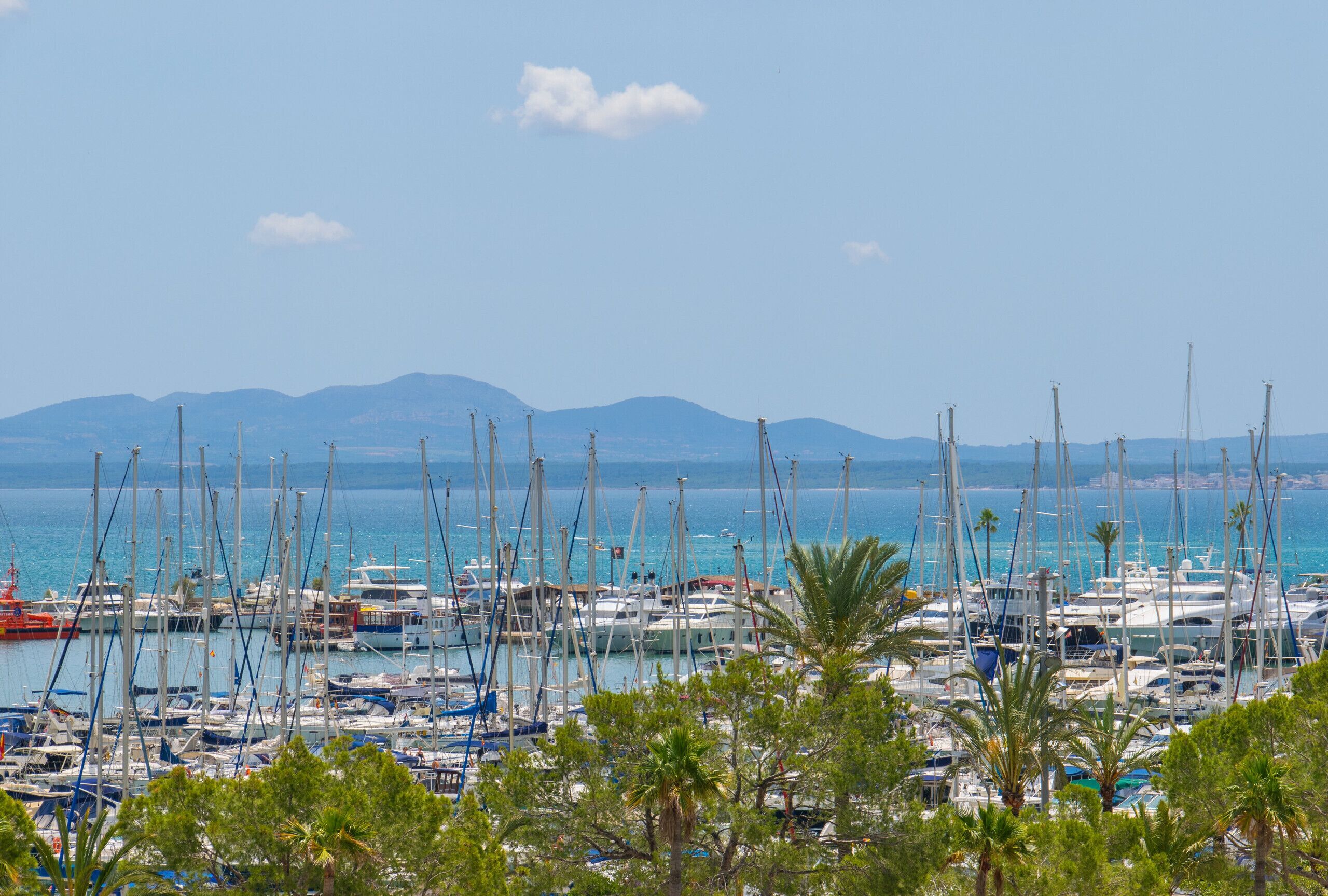 Jachthaven