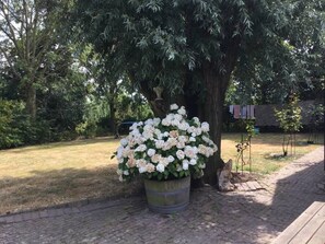 Stroll through a serene garden oasis with a majestic tree, vibrant flowers, and a charming brick pathway.