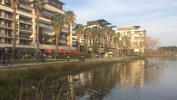 A riverside view with modern buildings, palm trees, and a calm water body reflecting the sky.