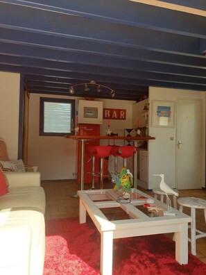 TV, books, stereo - A blue house on the wild coast (Batz-Sur-Mer)