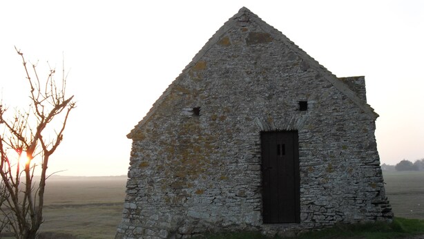 A stone building with a dark door, surrounded by a grassy field and a bare tree. - Charming cottage near the sea (Saint-Germain-sur-Ay)