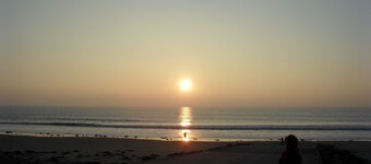 Charming cottage near the sea