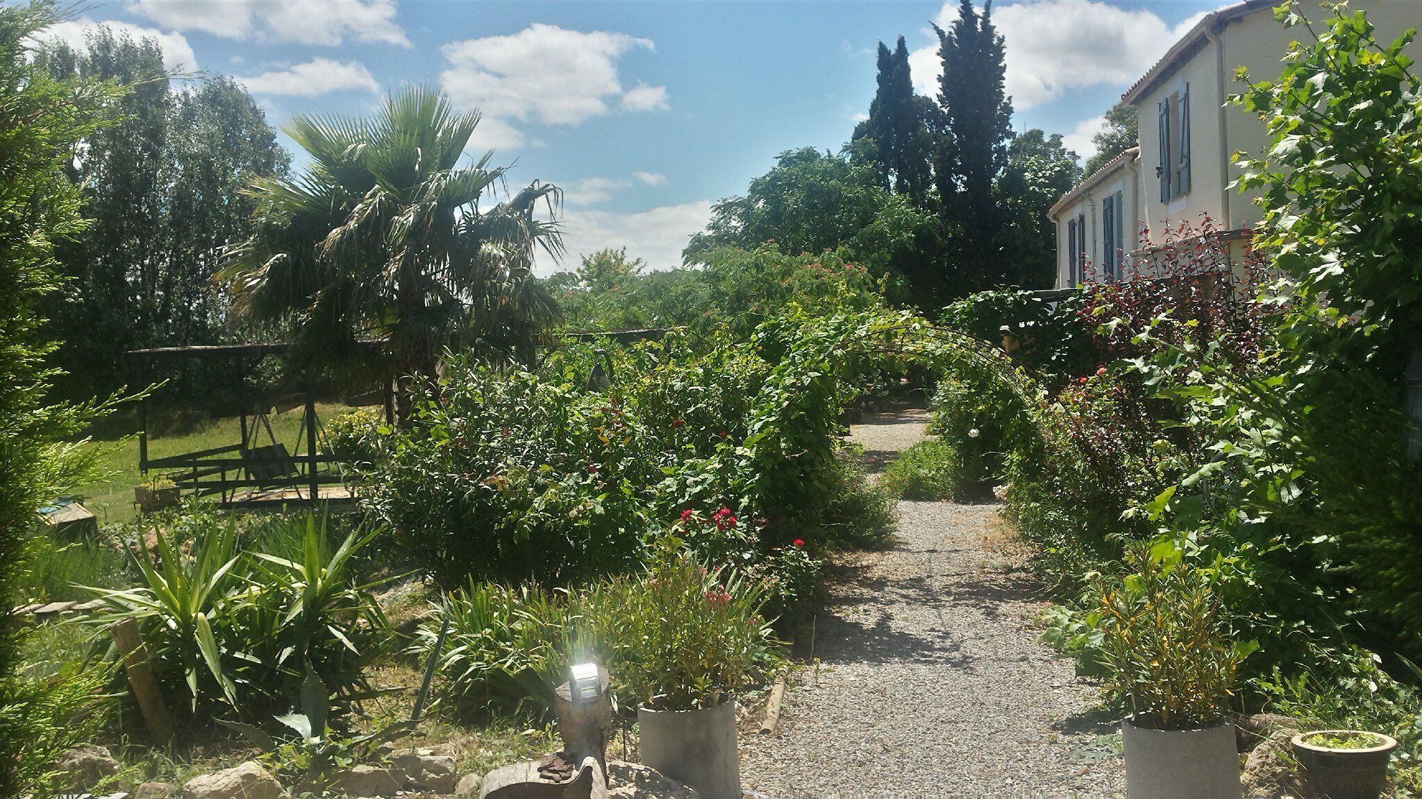 cottage in old vineyard