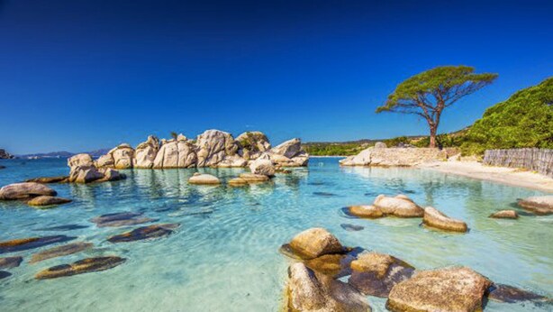 A clear coastal scene with large rocks in the water, a tree on the beach, and a clear blue sky. - Air-conditioned 75m2 duplex with spa and panoramic views! (Porto-Vecchio)