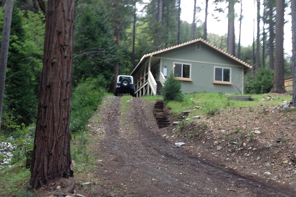 Serene Sierra City Cabin