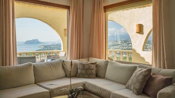 Een televisie, een open haard, een dvd-speler en boeken