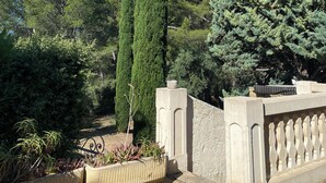 Un jardin agrémenté de grands cyprès, de diverses espèces d’arbustes et d’une clôture décorative.