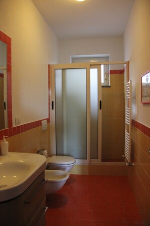 Shower, bidet, soap, toilet paper