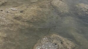 A rocky landscape with a clear stream and a large stone structure in the background. - Dimora Fraula Guest House (Agrigento)