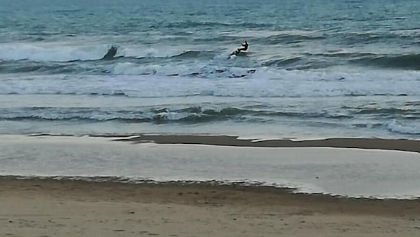 A beach with waves and a person surfing. - Dimora Fraula Guest House (Agrigento)