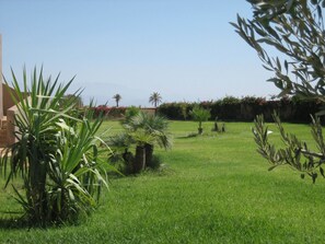 Garden - Villa Isa (Marrakech)