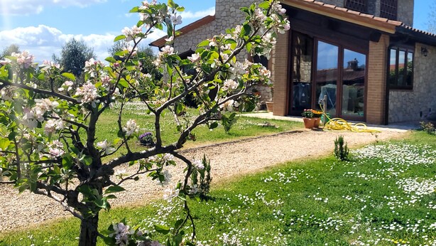 Une maison en pierre au design moderne, un jardin bien entretenu et un ciel dégagé.