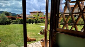 Une vue depuis l’intérieur d’une pièce, avec une porte vitrée donnant sur un jardin bien entretenu, avec une pelouse, des plantes en pot et un chien allongé sur l’herbe.