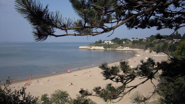 A beach with people, trees, and a coastline.