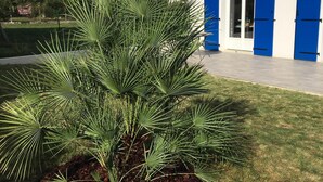 A building with blue shutters and a well-maintained lawn with a palm tree.