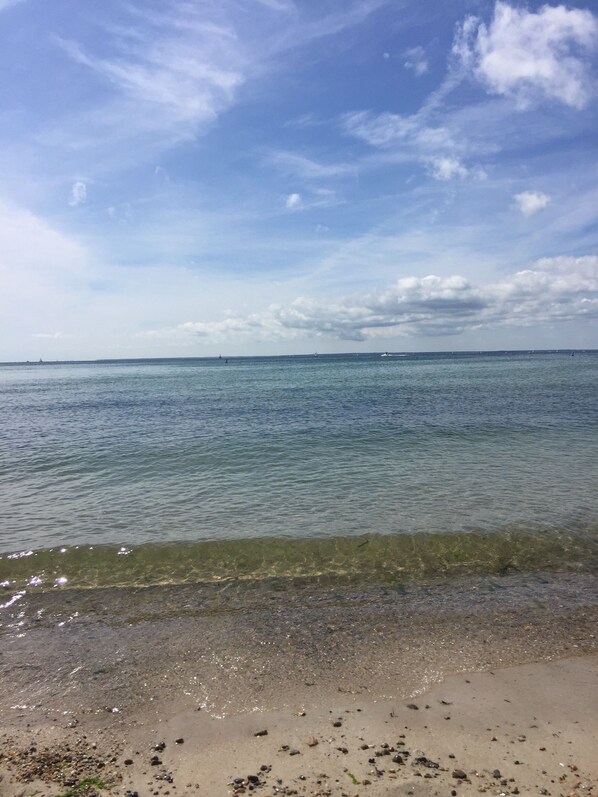 Beach nearby, sun loungers, beach towels - Peaceful Cottage with relaxing vibe in family friendly neighborhood (East Falmouth)