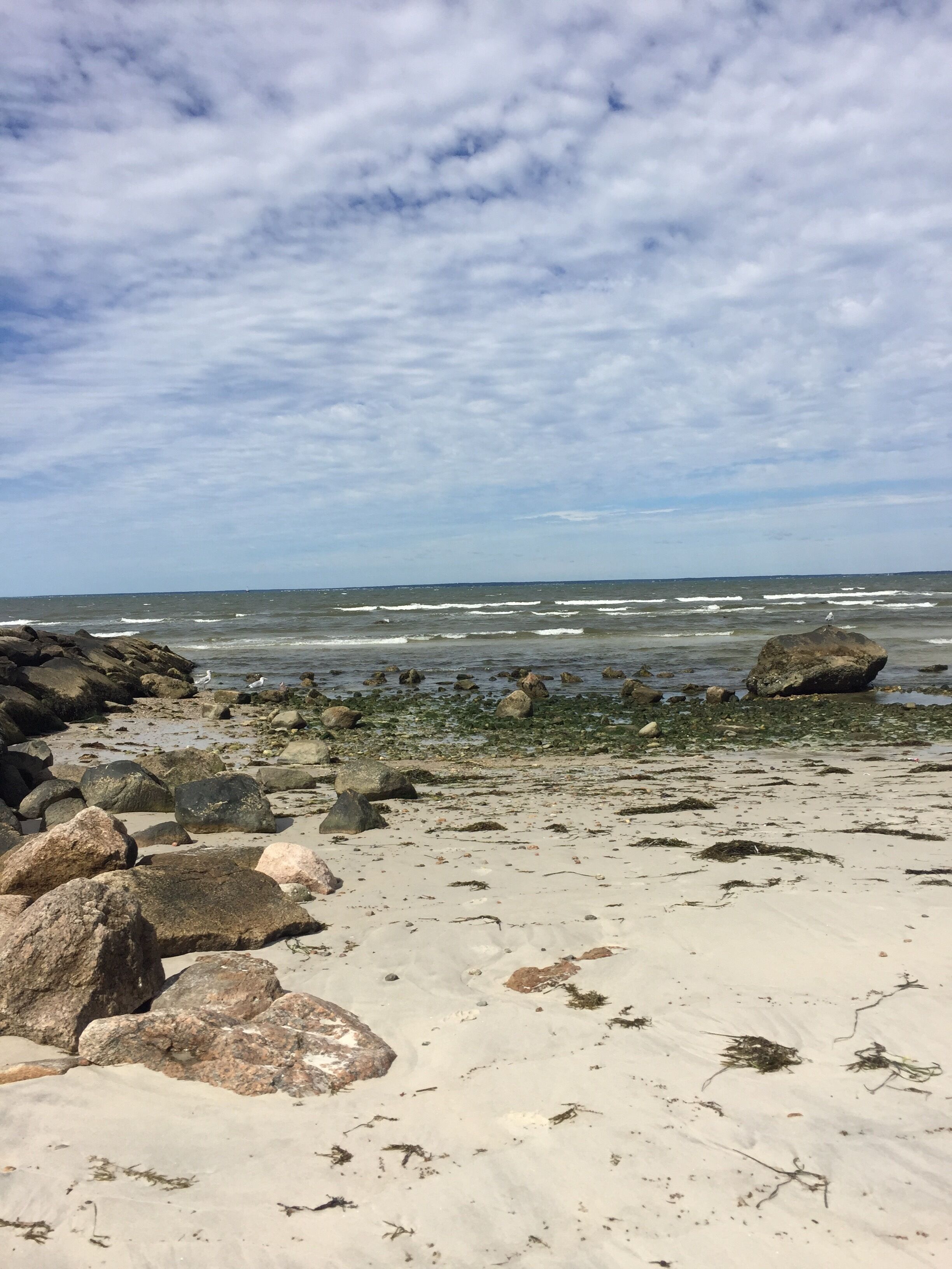 Playa en los alrededores, camastros y toallas de playa 