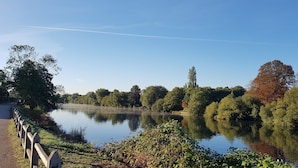 Wandelen