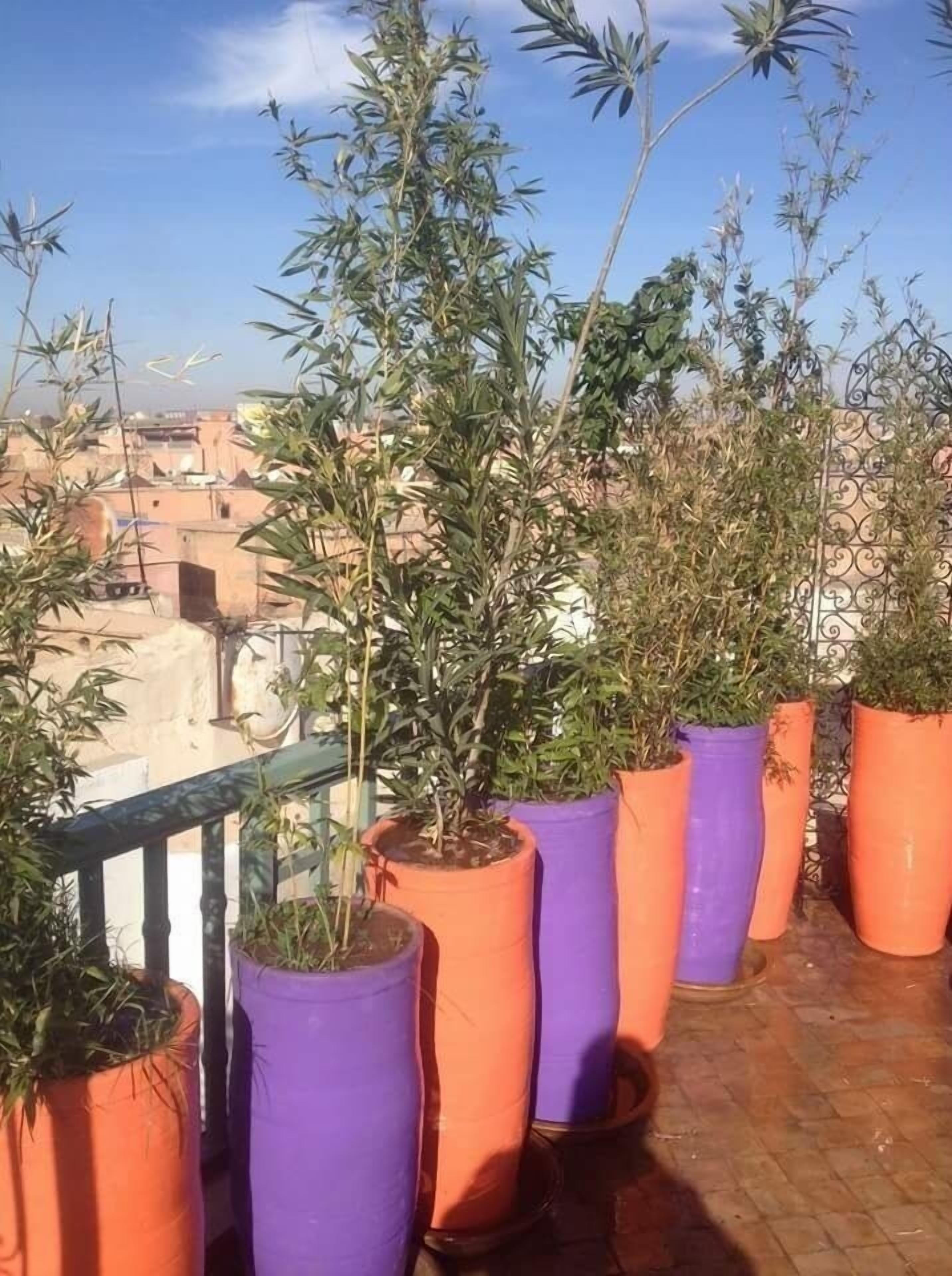 المنطقة المحيطة بالمنشأة