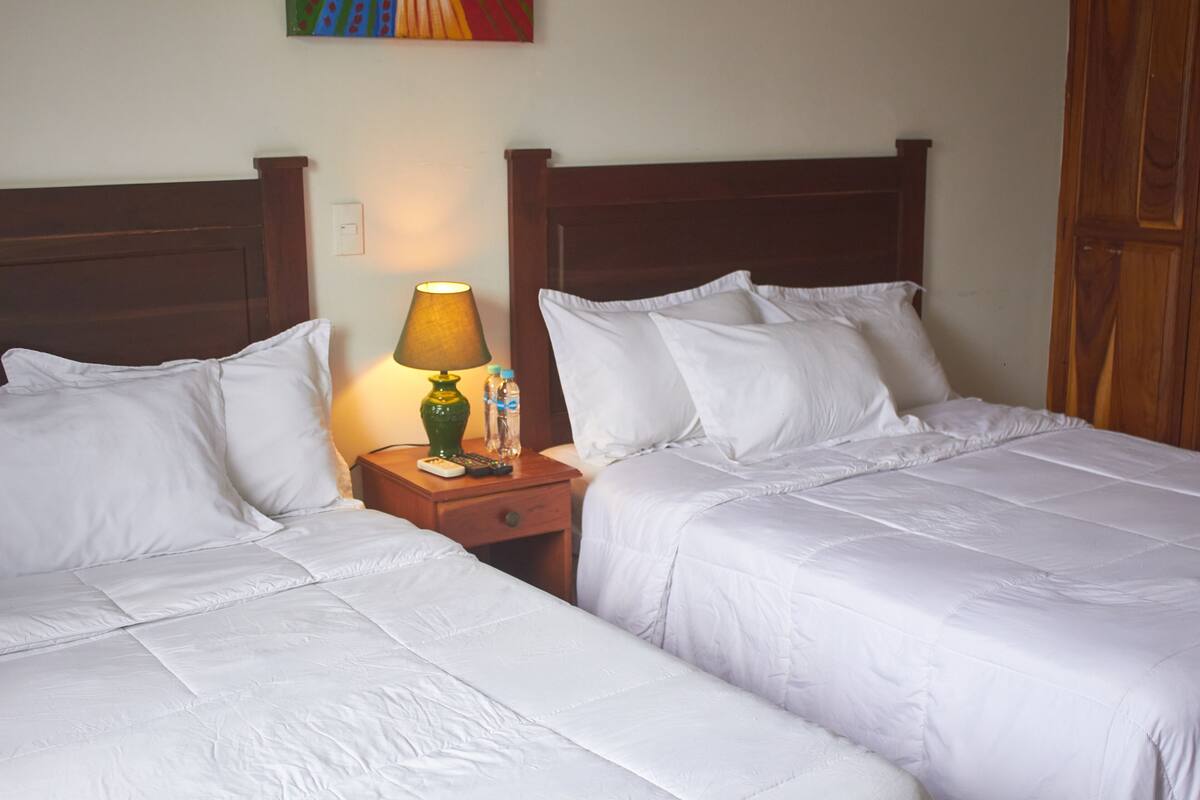 Kamar Single Basic, 1 Tempat Tidur Double, pemandangan kota | Selimut bulu angsa dan setrika/meja setrika