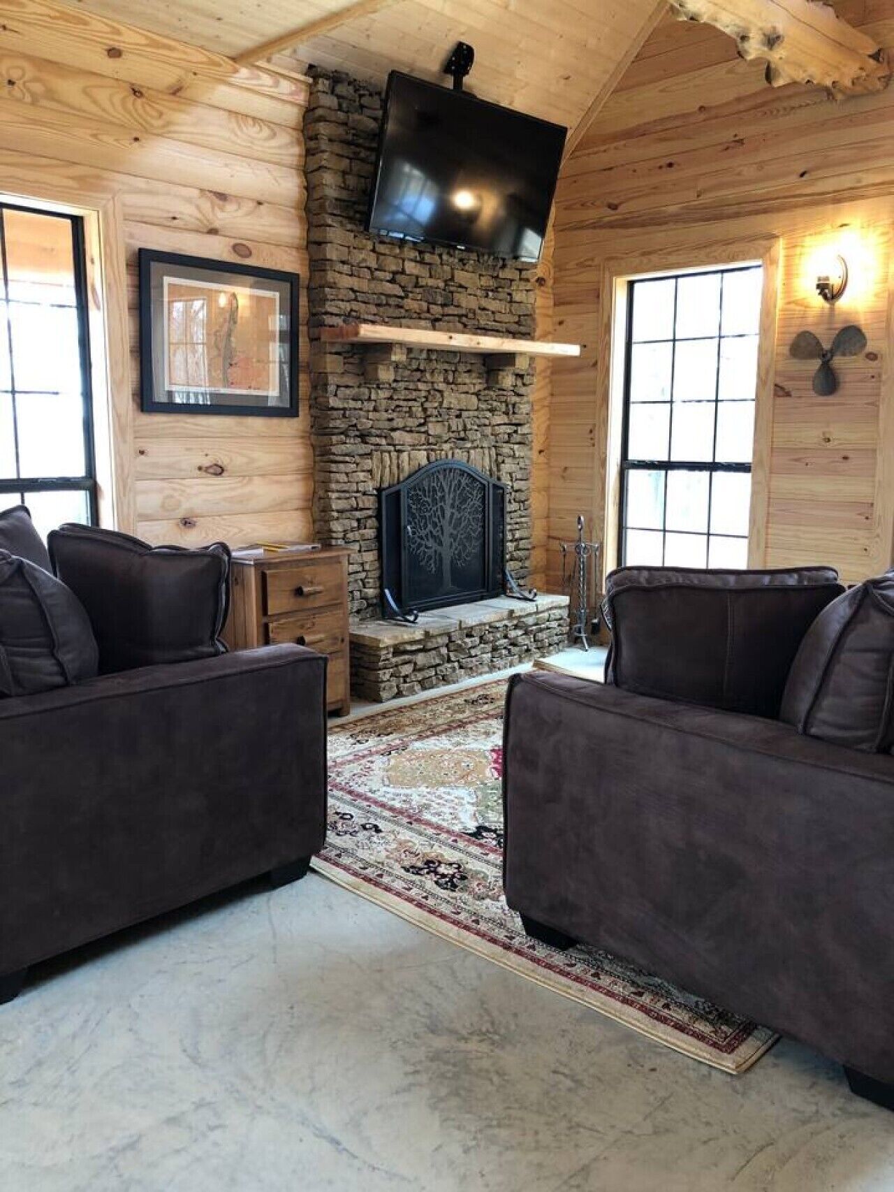 TV, fireplace
