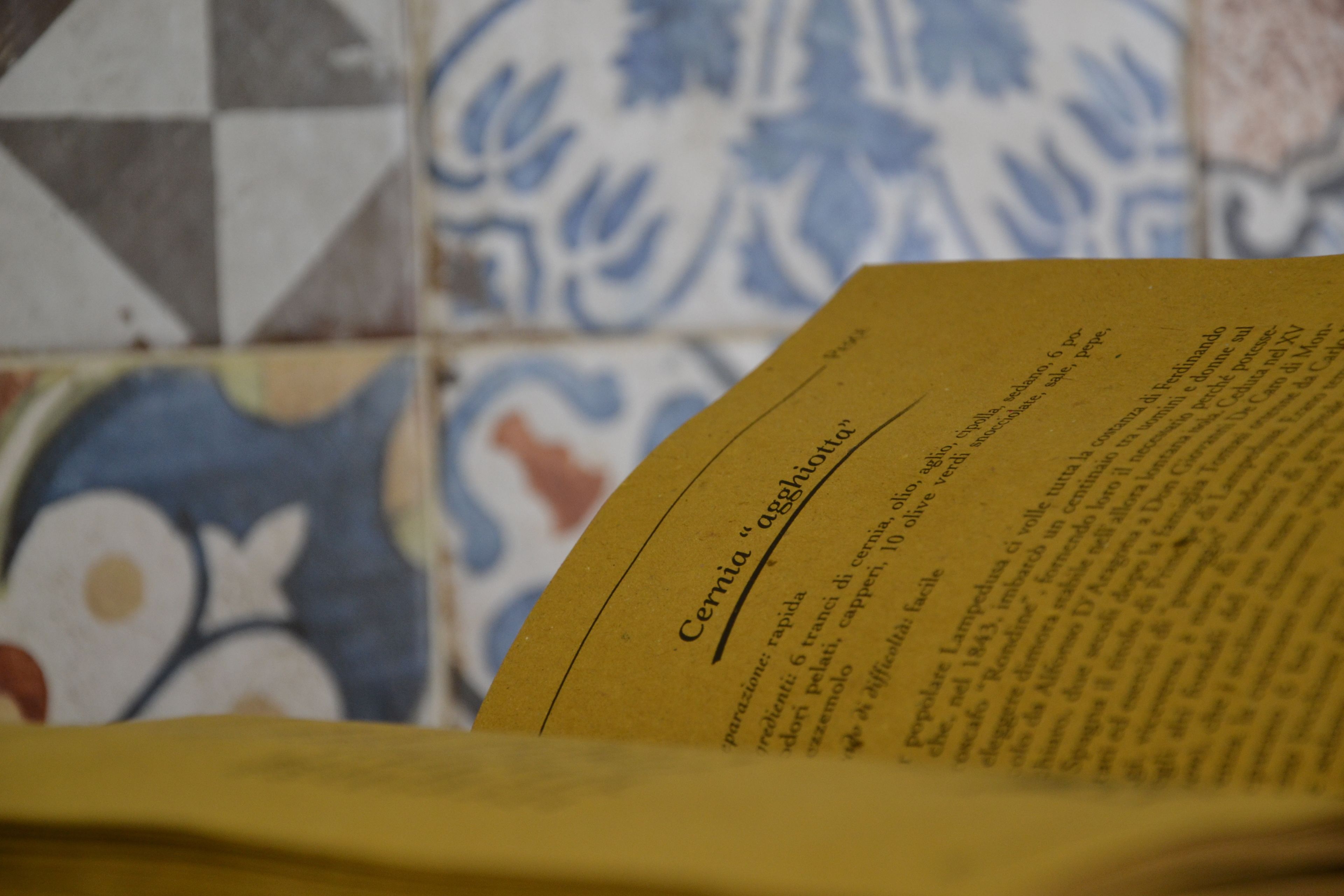 A page from a book with the title "Cernia 'agghio'".