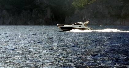 Sorrento Holiday Charter
